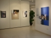 15- exposició s´Alamera, 2010